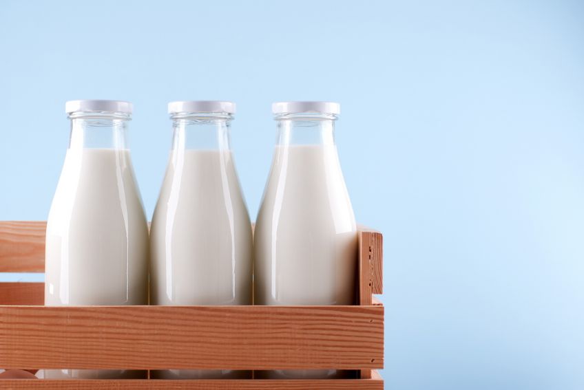 Leche: y valor nutricional de la leche